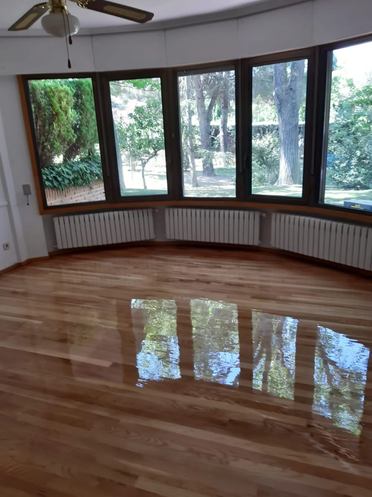 Parquet barnizado y ventanal